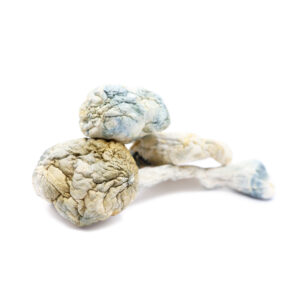 Buy Alien Bubbles Magic Mushrooms in Australia Online