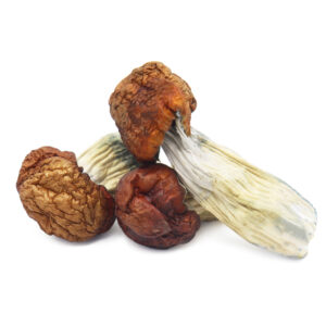 buy Blue Pulaski Magic Mushrooms in australia online