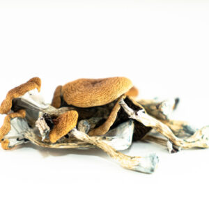 buy Brazilian Magic Mushrooms in australia online