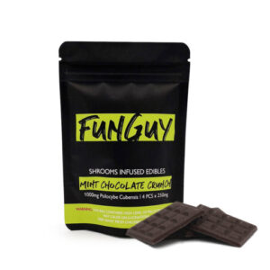 buy FunGuy Mint Chocolate Crunch Bar in australia online