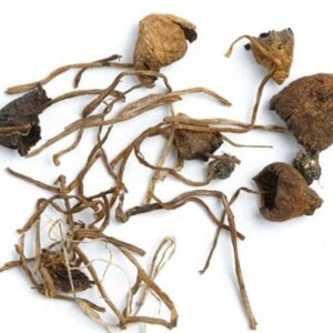 buy Liberty Caps Magic Mushrooms in australia online