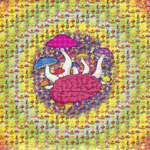 buy LSD-25 Tabs Mushroom Brain in australia online