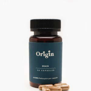 buy Origin Brain Capsules 200mg Psilocybin in australia