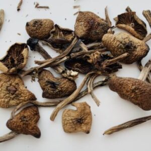 buy Wavy Caps Magic Mushrooms in australia online